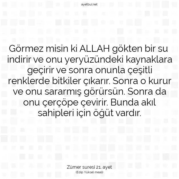 Ayetbul | Kuran Mealleri | Quran | Zümer suresi 21. ayet