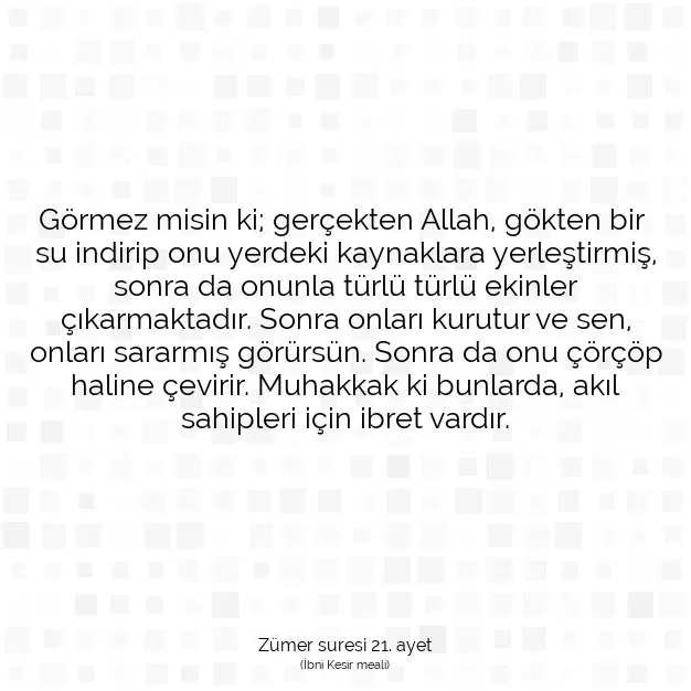 Ayetbul | Kuran Mealleri | Quran | Zümer suresi 21. ayet