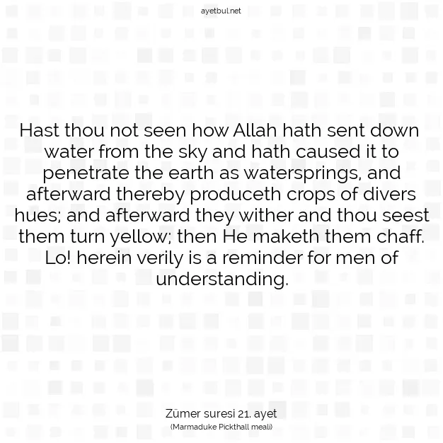 Ayetbul | Kuran Mealleri | Quran | Zümer suresi 21. ayet
