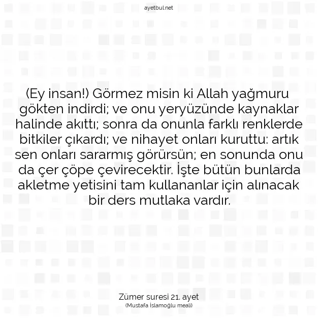 Ayetbul | Kuran Mealleri | Quran | Zümer suresi 21. ayet