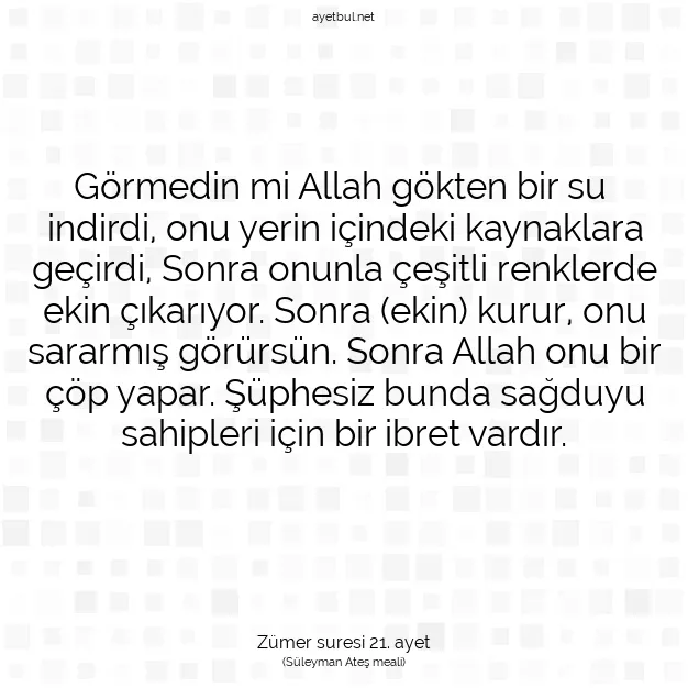 Ayetbul | Kuran Mealleri | Quran | Zümer suresi 21. ayet