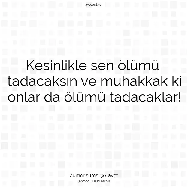 Ayetbul | Kuran Mealleri | Quran | Zümer suresi 30. ayet