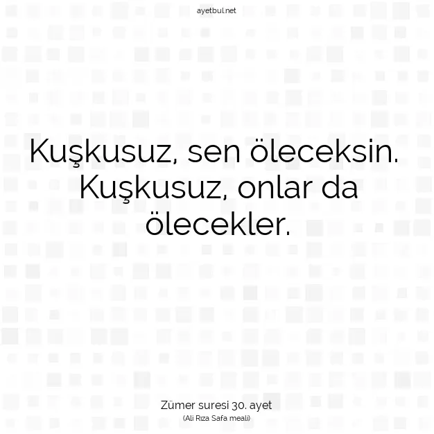 Ayetbul | Kuran Mealleri | Quran | Zümer suresi 30. ayet