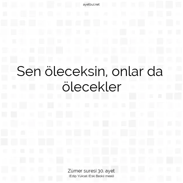 Ayetbul | Kuran Mealleri | Quran | Zümer suresi 30. ayet