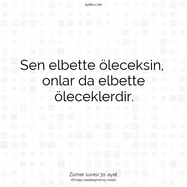 Ayetbul | Kuran Mealleri | Quran | Zümer suresi 30. ayet