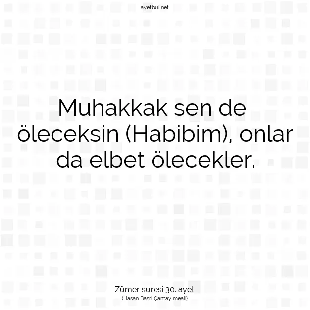 Ayetbul | Kuran Mealleri | Quran | Zümer suresi 30. ayet
