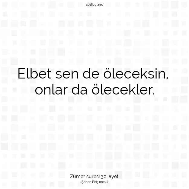 Ayetbul | Kuran Mealleri | Quran | Zümer suresi 30. ayet