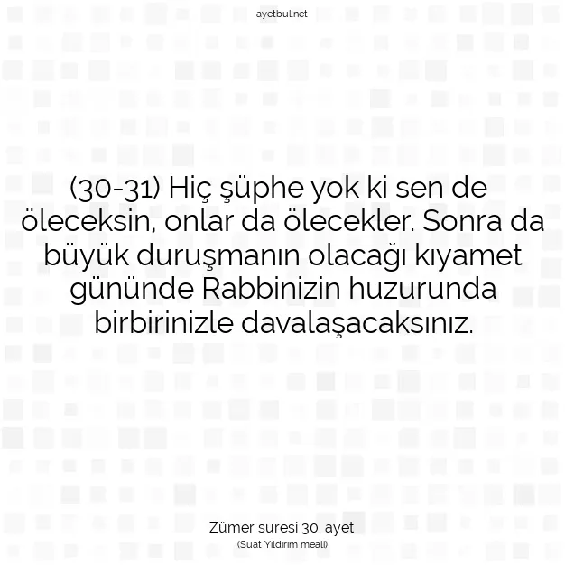 Ayetbul | Kuran Mealleri | Quran | Zümer suresi 30. ayet