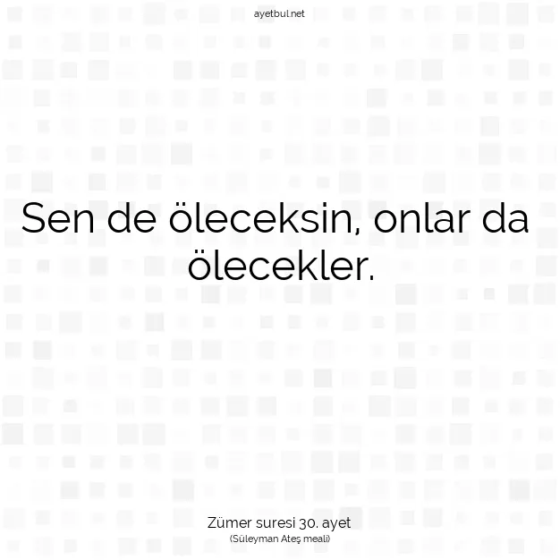 Ayetbul | Kuran Mealleri | Quran | Zümer suresi 30. ayet