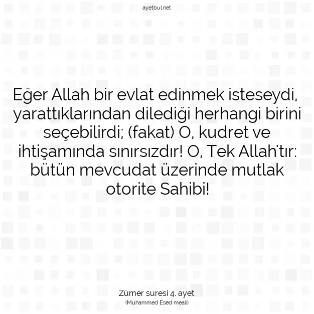 Ayetbul | Kuran Mealleri | Quran | Zümer suresi 4. ayet