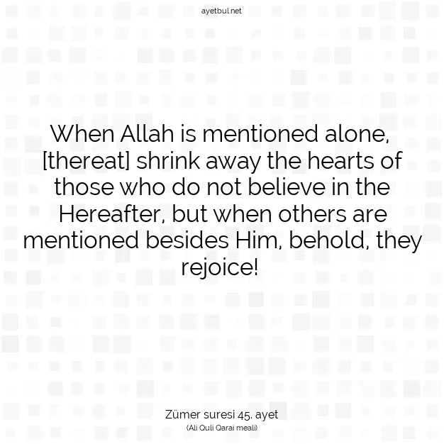 Ayetbul | Kuran Mealleri | Quran | Zümer suresi 45. ayet