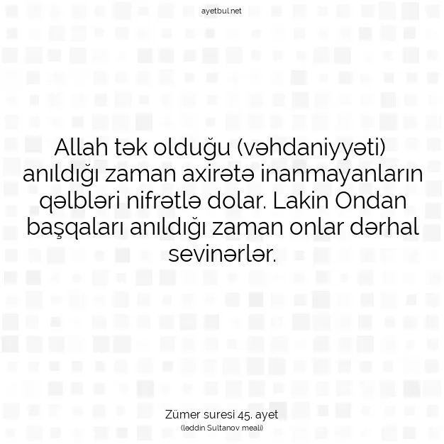Ayetbul | Kuran Mealleri | Quran | Zümer suresi 45. ayet