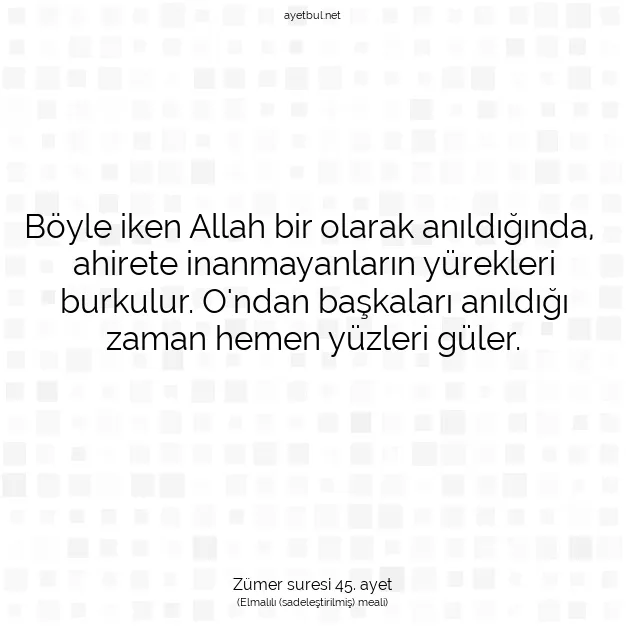 Ayetbul | Kuran Mealleri | Quran | Zümer suresi 45. ayet