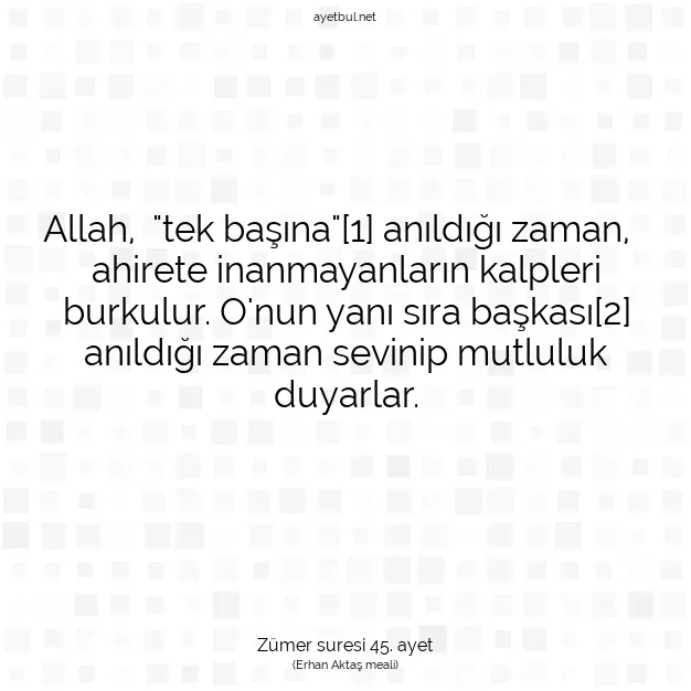 Ayetbul | Kuran Mealleri | Quran | Zümer suresi 45. ayet
