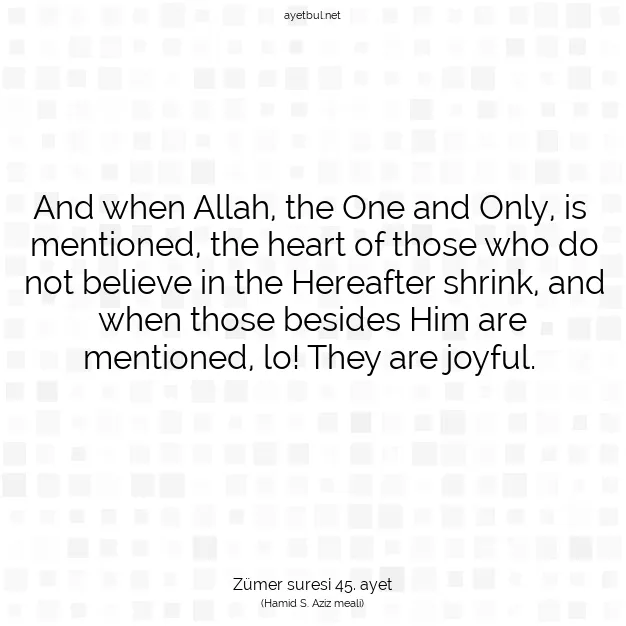 Ayetbul | Kuran Mealleri | Quran | Zümer suresi 45. ayet