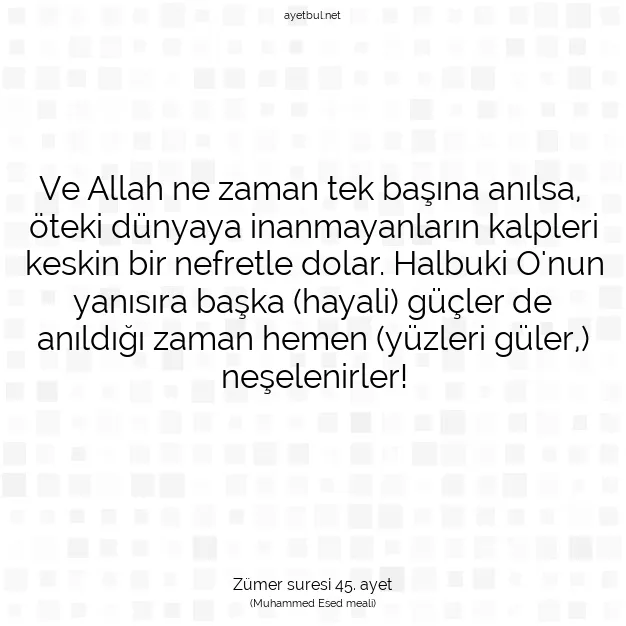 Ayetbul | Kuran Mealleri | Quran | Zümer suresi 45. ayet