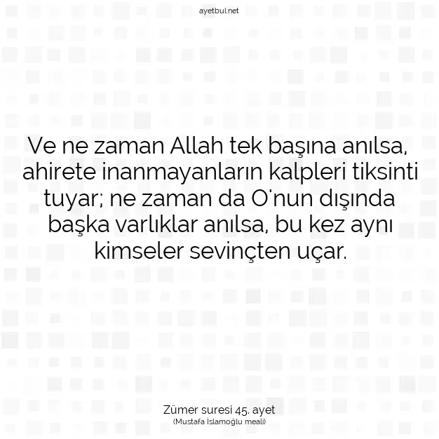 Ayetbul | Kuran Mealleri | Quran | Zümer suresi 45. ayet