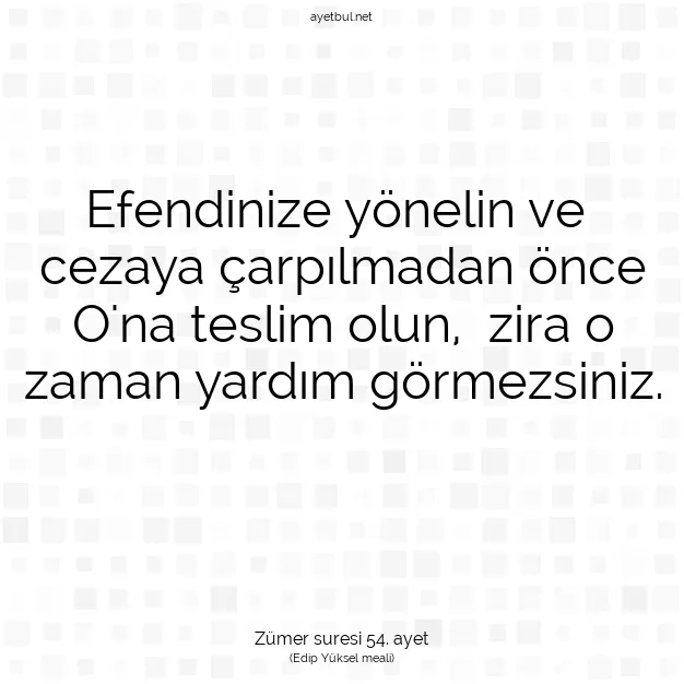 Ayetbul | Kuran Mealleri | Quran | Zümer suresi 54. ayet