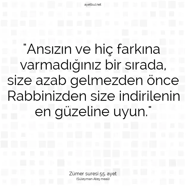 Ayetbul | Kuran Mealleri | Quran | Zümer suresi 55. ayet