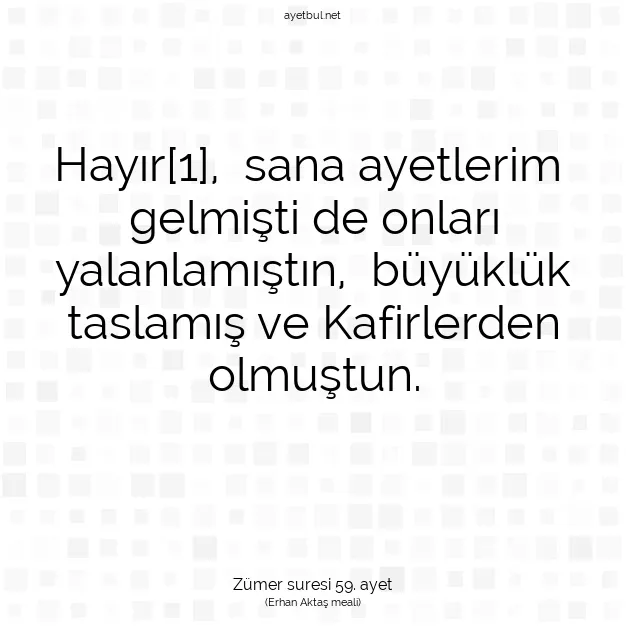Ayetbul | Kuran Mealleri | Quran | Zümer suresi 59. ayet