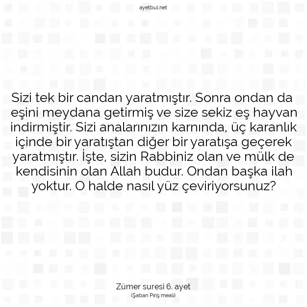 Ayetbul | Kuran Mealleri | Quran | Zümer suresi 6. ayet