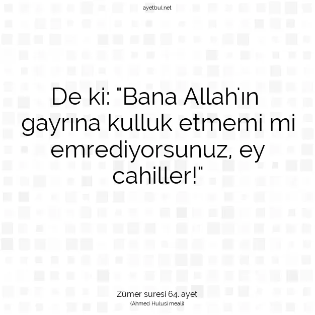 Ayetbul | Kuran Mealleri | Quran | Zümer suresi 64. ayet