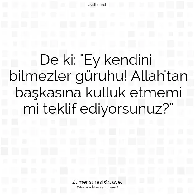 Ayetbul | Kuran Mealleri | Quran | Zümer suresi 64. ayet
