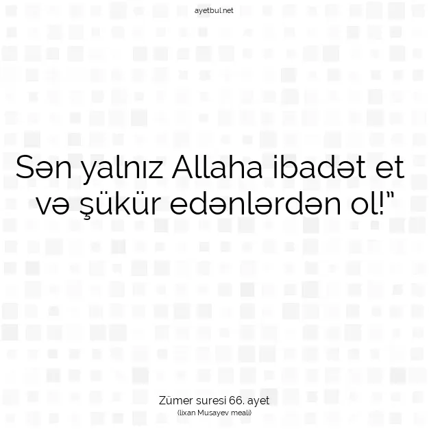 Ayetbul | Kuran Mealleri | Quran | Zümer suresi 66. ayet