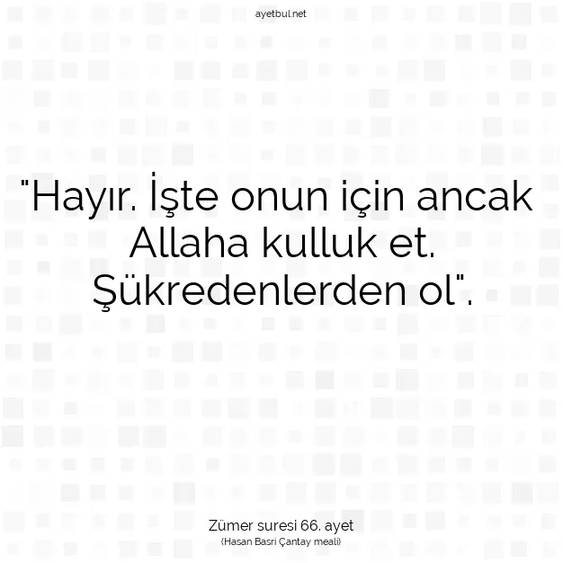 Ayetbul | Kuran Mealleri | Quran | Zümer suresi 66. ayet