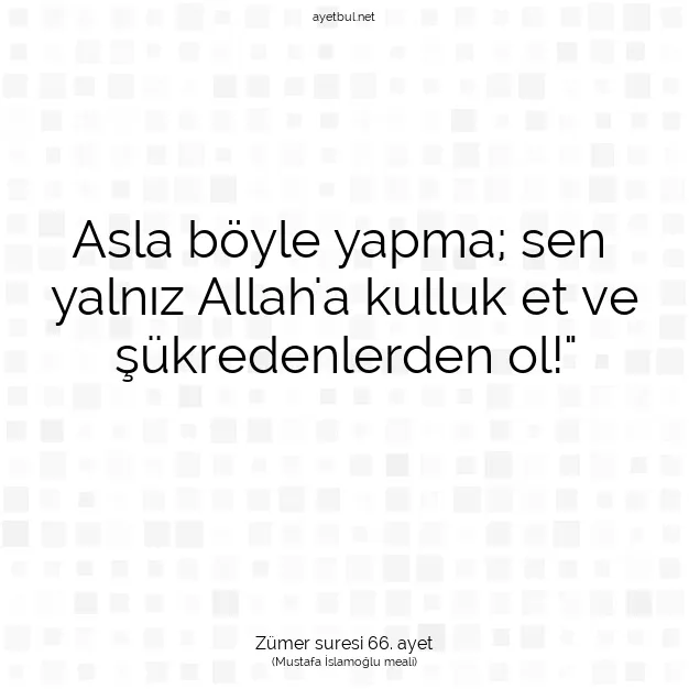 Ayetbul | Kuran Mealleri | Quran | Zümer suresi 66. ayet