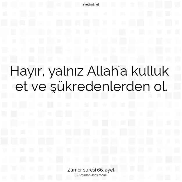 Ayetbul | Kuran Mealleri | Quran | Zümer suresi 66. ayet