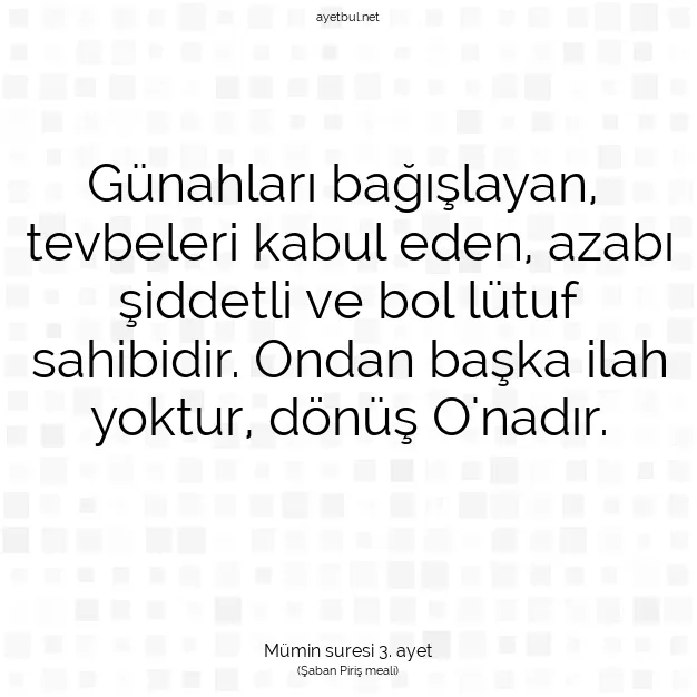 Ayetbul | Kuran Mealleri | Quran | Mümin suresi 3. ayet