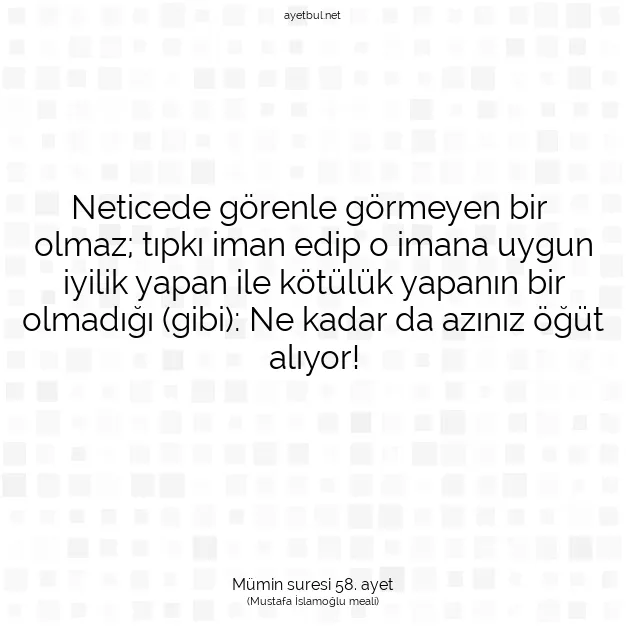 Ayetbul | Kuran Mealleri | Quran | Mümin suresi 58. ayet