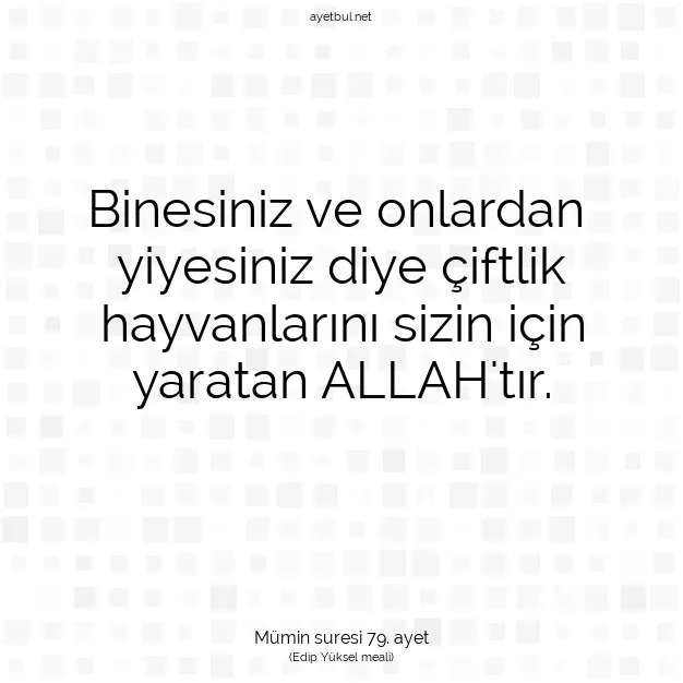 Ayetbul | Kuran Mealleri | Quran | Mümin suresi 79. ayet
