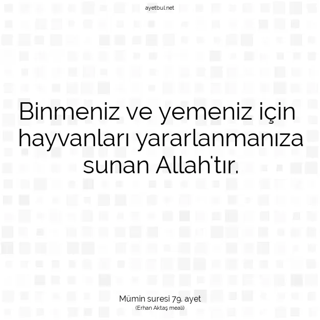Ayetbul | Kuran Mealleri | Quran | Mümin suresi 79. ayet