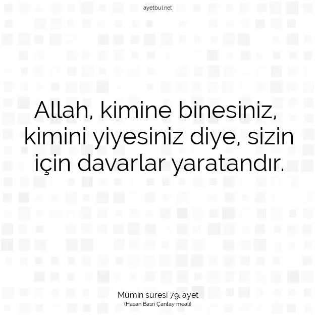 Ayetbul | Kuran Mealleri | Quran | Mümin suresi 79. ayet