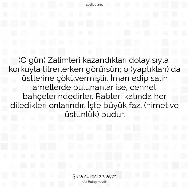 Ayetbul | Kuran Mealleri | Quran | Şura suresi 22. ayet