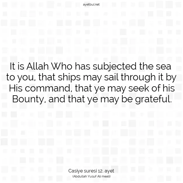 Ayetbul | Kuran Mealleri | Quran | Casiye suresi 12. ayet