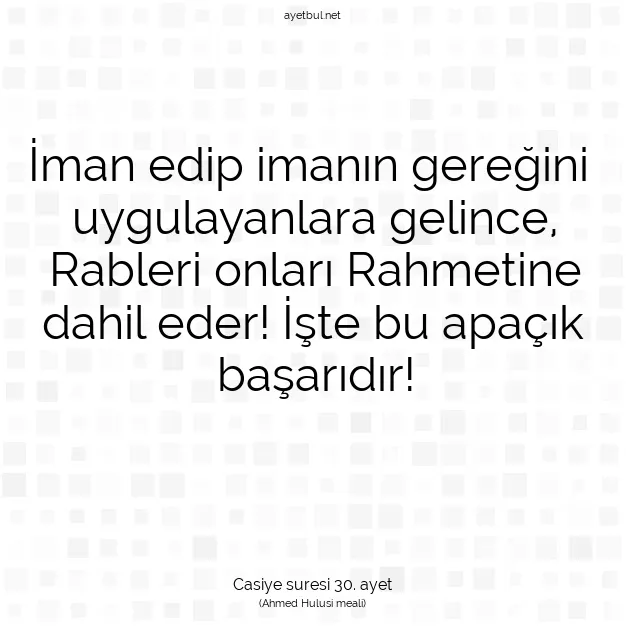 Ayetbul | Kuran Mealleri | Quran | Casiye suresi 30. ayet