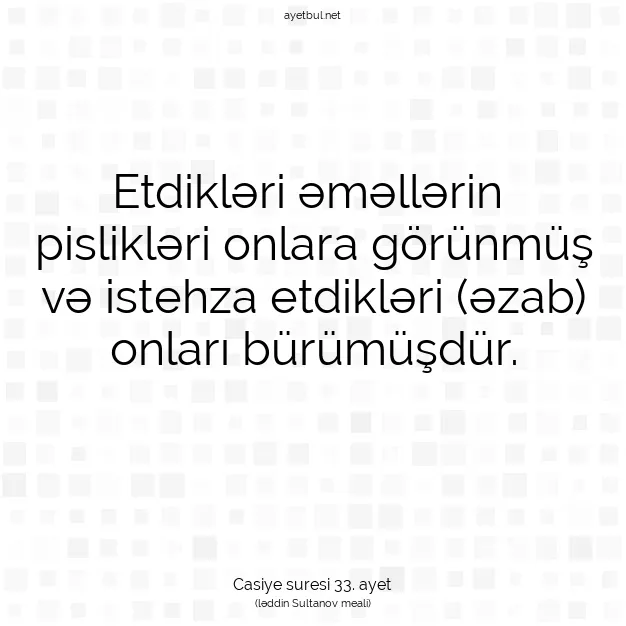 Ayetbul | Kuran Mealleri | Quran | Casiye suresi 33. ayet
