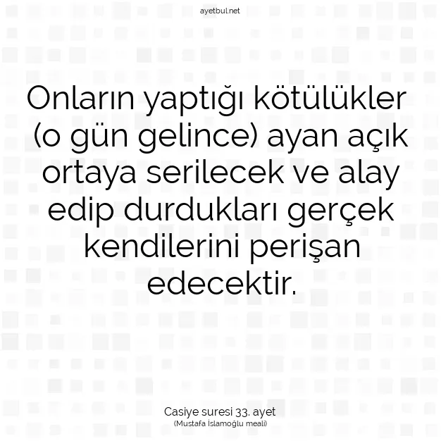 Ayetbul | Kuran Mealleri | Quran | Casiye suresi 33. ayet