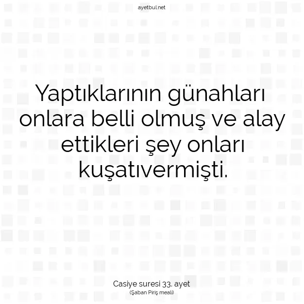 Ayetbul | Kuran Mealleri | Quran | Casiye suresi 33. ayet