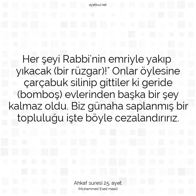Ayetbul | Kuran Mealleri | Quran | Ahkaf suresi 25. ayet