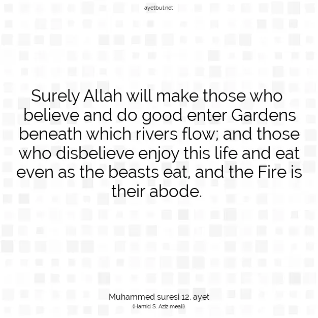 Ayetbul | Kuran Mealleri | Quran | Muhammed suresi 12. ayet