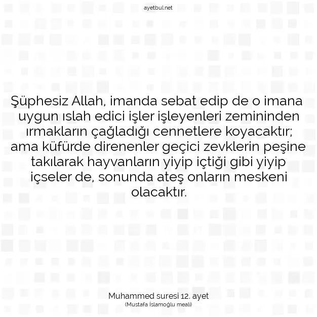 Ayetbul | Kuran Mealleri | Quran | Muhammed suresi 12. ayet
