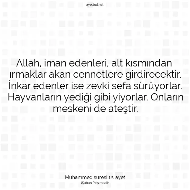 Ayetbul | Kuran Mealleri | Quran | Muhammed suresi 12. ayet