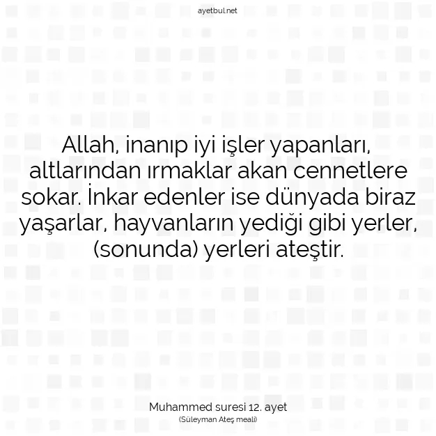 Ayetbul | Kuran Mealleri | Quran | Muhammed suresi 12. ayet