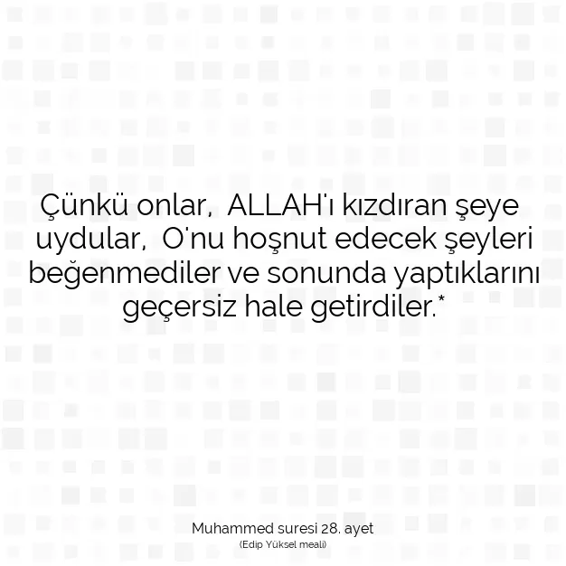 Ayetbul | Kuran Mealleri | Quran | Muhammed suresi 28. ayet