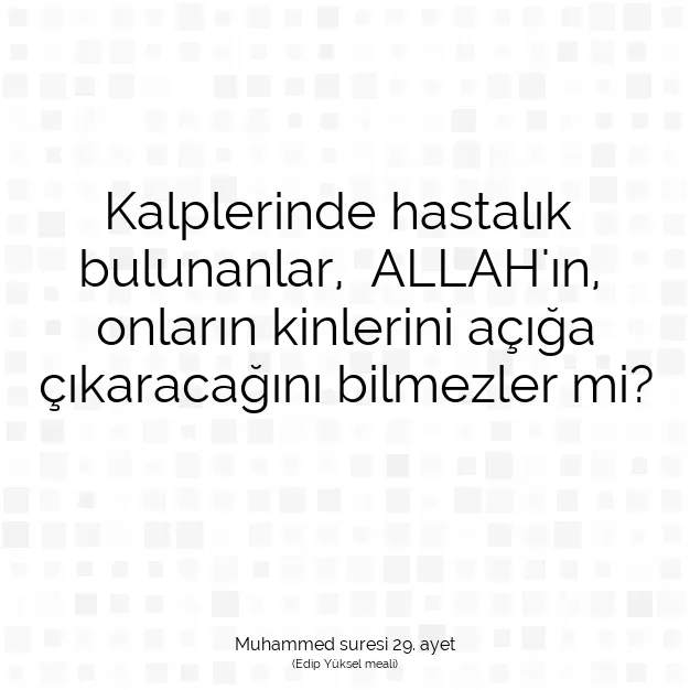 Ayetbul | Kuran Mealleri | Quran | Muhammed suresi 29. ayet