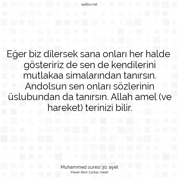 Ayetbul | Kuran Mealleri | Quran | Muhammed suresi 30. ayet